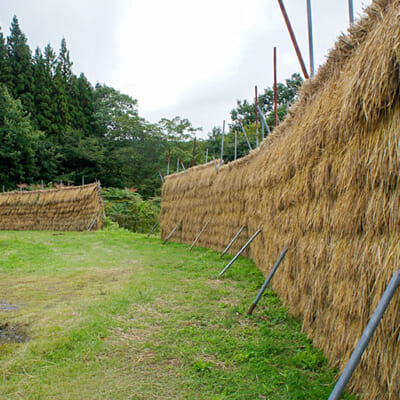 昔ながらの自然乾燥で旨みを凝縮