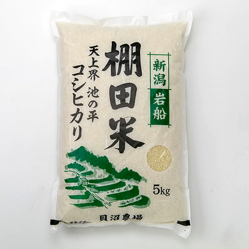 【新潟直送計画】令和5年度米 岩船産コシヒカリ（棚田栽培） – 株式会社貝沼農場