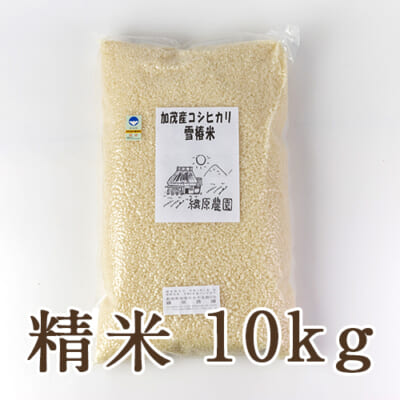 新潟産コシヒカリ「雪椿米」（特別栽培・従来品種）精米10kg