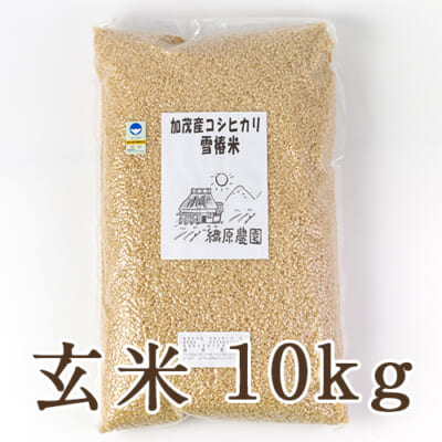 新潟産コシヒカリ「雪椿米」（特別栽培・従来品種）玄米10kg