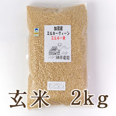 新潟産ミルキークイーン（特別栽培）玄米2kg