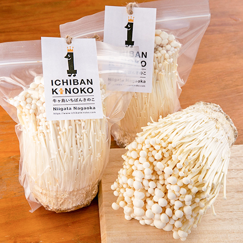 えのきたけページ 0720-001.jpg