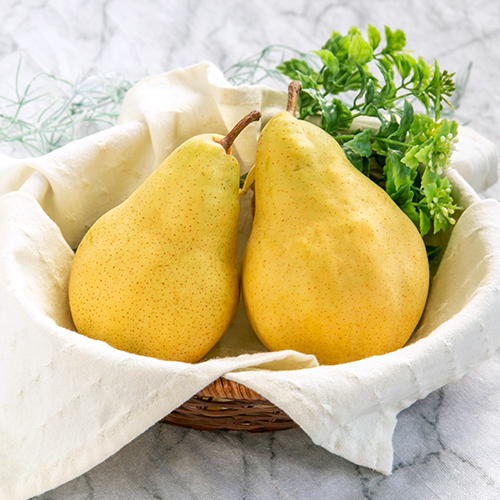 ユノ6箱24玉新潟県産とろけるルレクチェ特売セール 0723-002.jpg