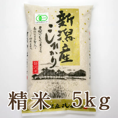 【定期購入】新潟産 JAS認証有機栽培米コシヒカリ「縄文狐島米」精米5kg