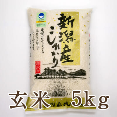 【定期購入】新潟産 特別栽培米コシヒカリ「縄文狐島米」玄米5kg