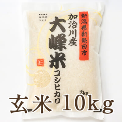 【定期購入】新潟産コシヒカリ「大峰米」玄米10kg