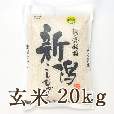 【定期購入】新潟産コシヒカリ「奥胎内米」玄米20kg