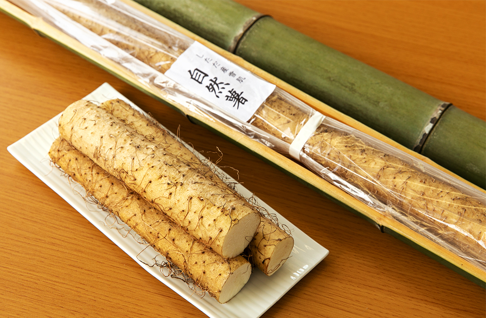 新潟直送計画】新潟県産 自然薯 – 企画販売 難波