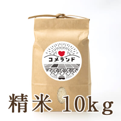 新潟県産新之助 精米10kg