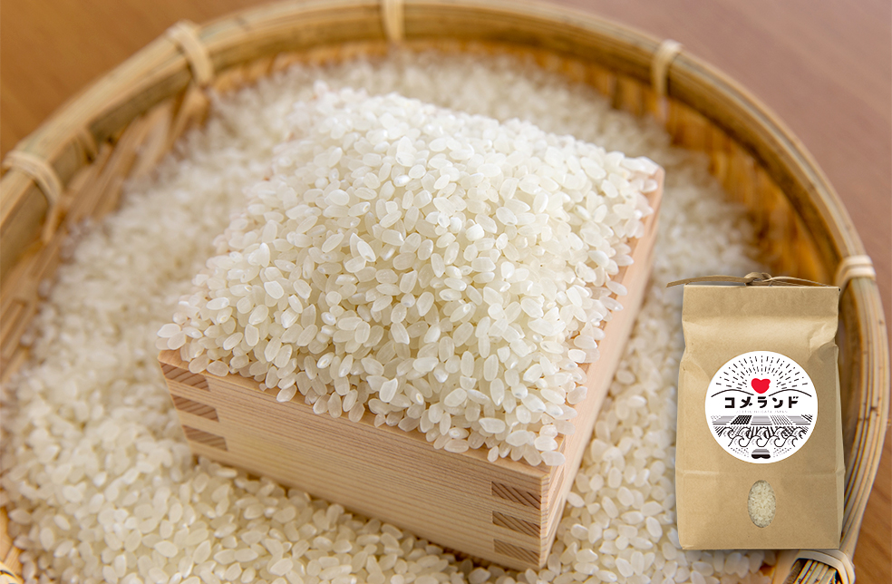 令和5年産新潟県上越産コシヒカリ〈精米約27kg〉精米後出荷 令和6年度産 新潟産コシヒカリ | 精米のみ5kg