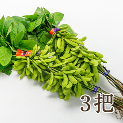 新潟県産 枝豆「弥彦むすめ」3把