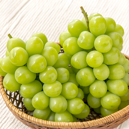 新潟直送計画】新潟県産シャインマスカット – JA新潟かがやき 弥彦