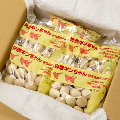 新潟県産 銀杏 2Lサイズ 600g