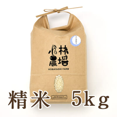 【定期購入】新潟産 コシヒカリ（特別栽培米・従来品種）精米5kg