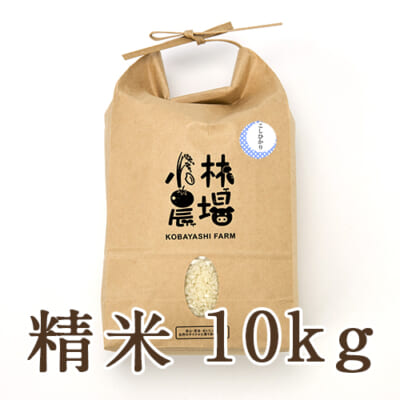 【定期購入】新潟産 コシヒカリ（特別栽培米・従来品種）精米10kg