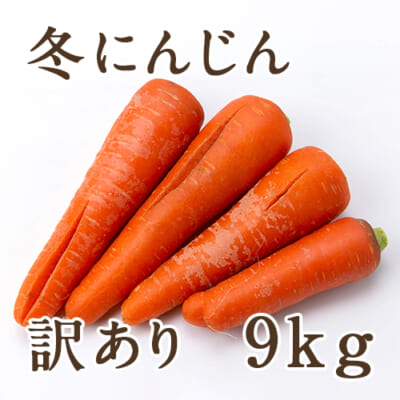 【訳あり】新潟県産 冬にんじん 9kg