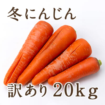 【訳あり】新潟県産 冬にんじん 20kg