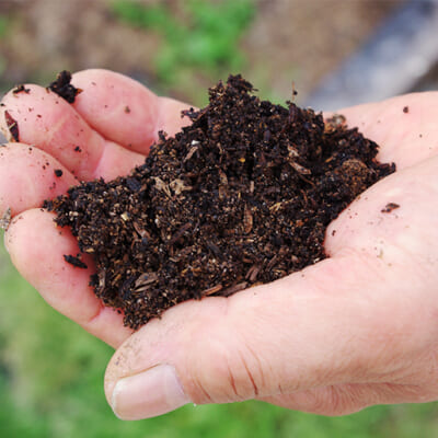 微生物が働き、栄養価の高い土壌に！