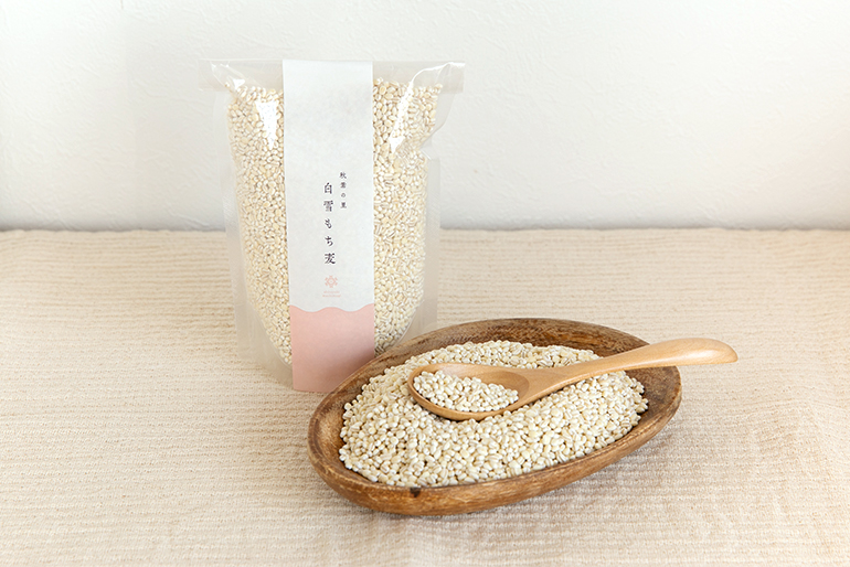 雪国新潟で育まれる、白く美しい「もち麦」