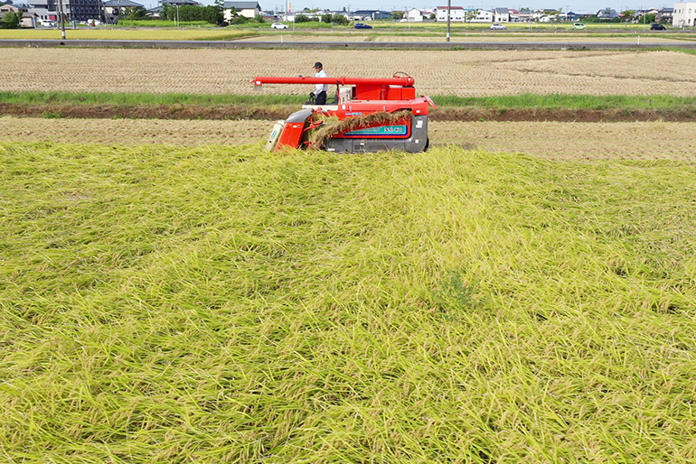 県から認証を受けた特別栽培米