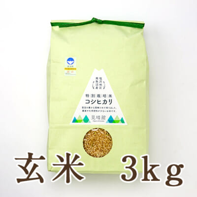 【定期購入】南魚沼 塩沢産コシヒカリ（棚田栽培・特別栽培）玄米3kg