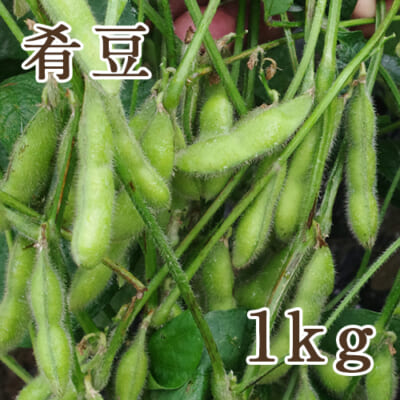 新潟県産 枝豆 肴豆 1kg