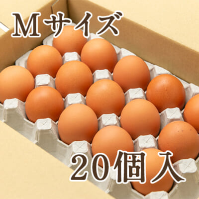 鎌田養生卵 Mサイズ 20個入り