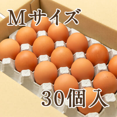 鎌田養生卵 Mサイズ 30個入り