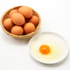 鎌田養生卵