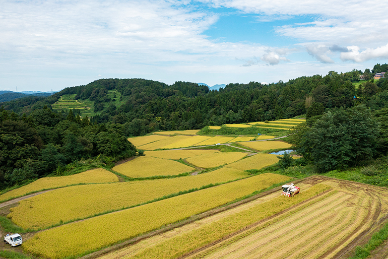 保水性の高い土壌で育つ、特別栽培米