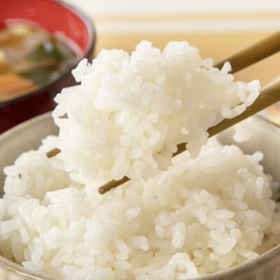 強い粘りがたまりません！