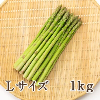 新潟県産 グリーンアスパラガス Lサイズ（レギュラー）1kg