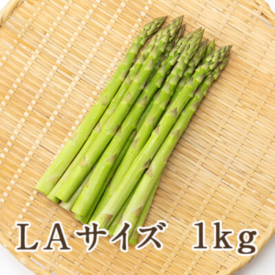 新潟県産 グリーンアスパラガス LAサイズ（太め）1kg