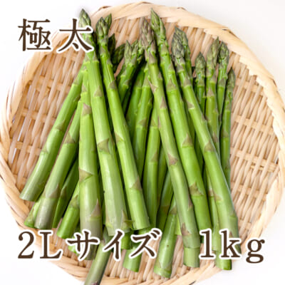 新潟県産 グリーンアスパラガス 2Lサイズ（極太） 1kg