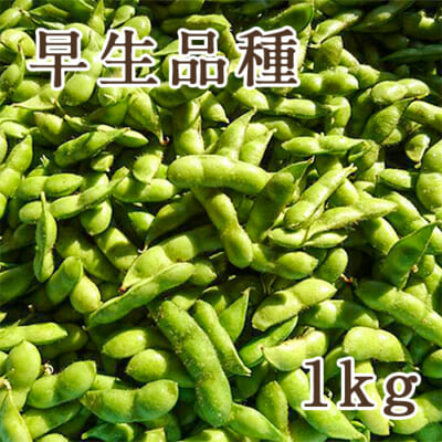 新潟県産 枝豆 早生品種 1kg
