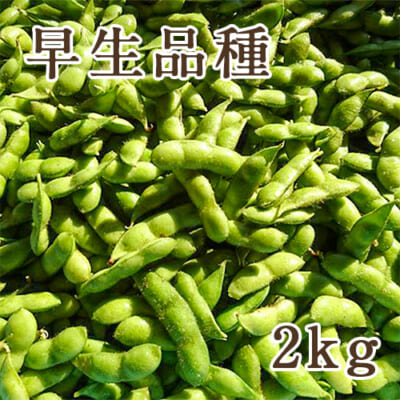 新潟県産 枝豆 早生品種 2kg