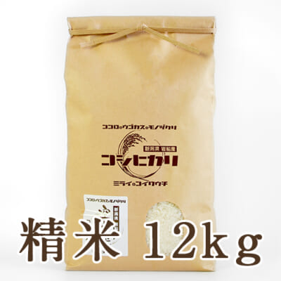 【定期購入】岩船産「空舞米」コシヒカリ 精米12kg
