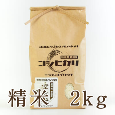 【定期購入】岩船産「空舞米」コシヒカリ 精米2kg