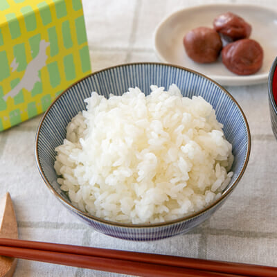 令和6年度米 新潟産コシヒカリ「新潟米ライフ」（特別栽培米・従来品種）