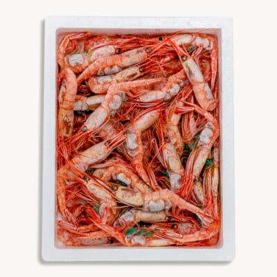 佐渡産 南蛮エビ 500g