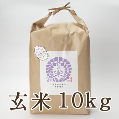 魚沼産コシヒカリ 玄米10kg