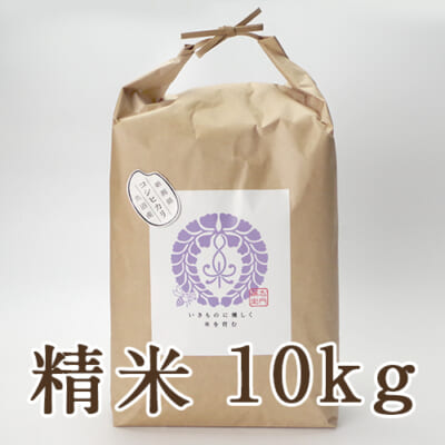 【定期購入】魚沼産コシヒカリ 精米10kg