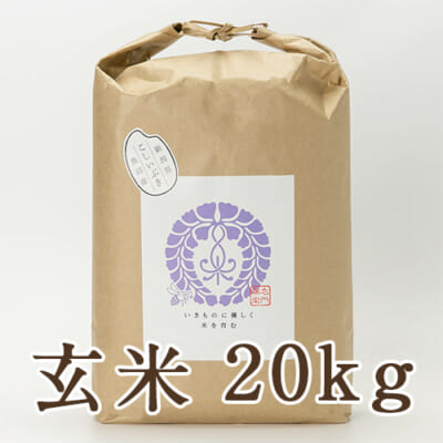 【定期購入】魚沼産こしいぶき 玄米20kg