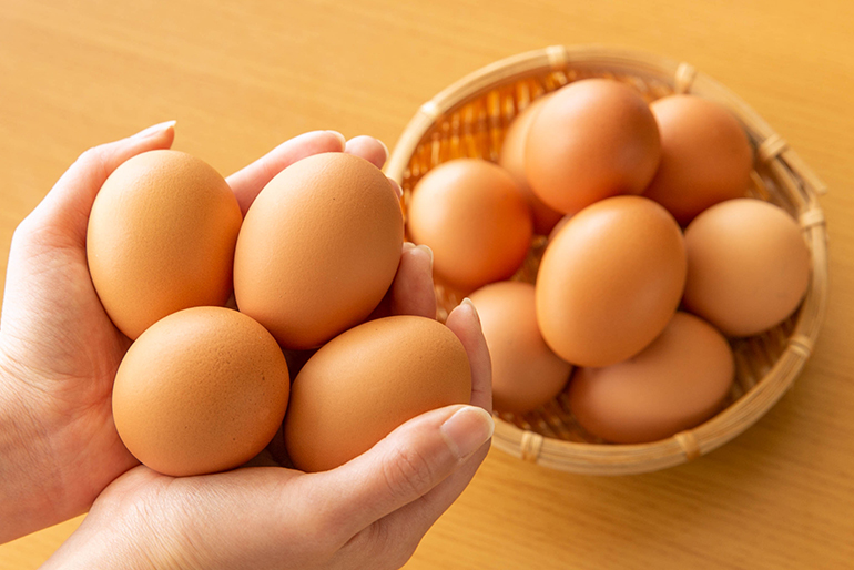 清潔で快適な飼育環境で産まれた卵
