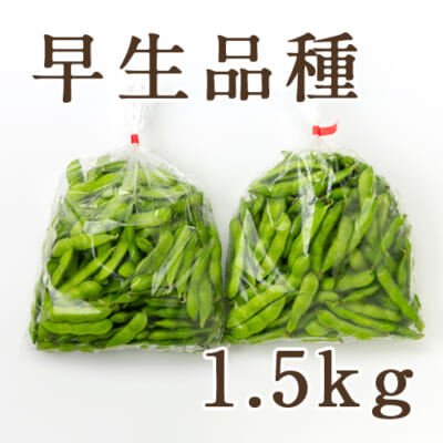 新潟県産 枝豆 早生品種 1.5kg