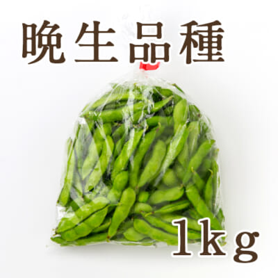 新潟県産 枝豆 晩生品種 1kg