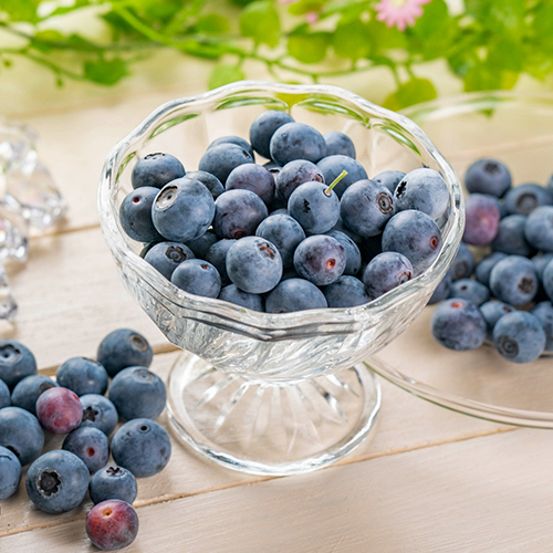新潟直送計画】新潟県産ブルーベリー – 小柳農園