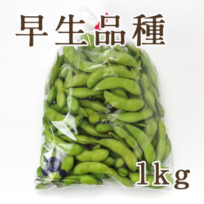 新潟県産 枝豆 早生品種 1kg