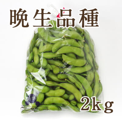 新潟県産 枝豆 晩生品種 2kg