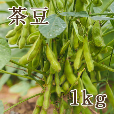 新潟県産 茶豆 1kg
